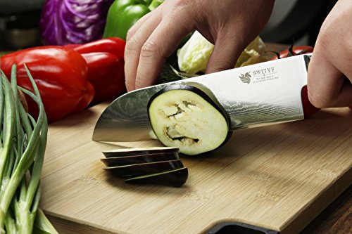 Das SWITYF VG-10 hochwertige japanische Stahl-Santokumesser ist ein Spezialmesser das178mm lang und mit hohen Kohlenstoffgehalt ist Das Micarta-Handgriff wurde mit Verbundwerkstoff ergonimisch entwickelt Das Damaskus-Muster ist wunderschön DDSK-TK - 6