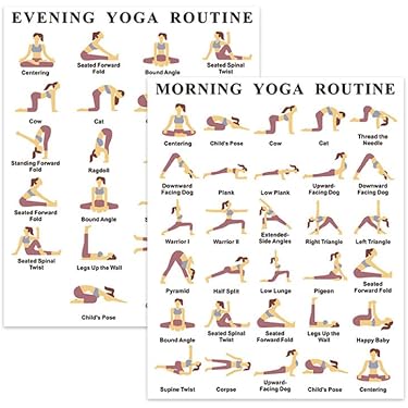 Poster Laminato Con Tabella Degli Esercizi Per Mezza Palla Da Allenamento (45,7 X 68,6 Cm), Fronte/retro, Resistente Agli Strappi, Guida Per Fitness