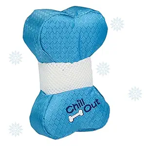 All For Paws Chill Out Hydration Bone for Dogs Medium