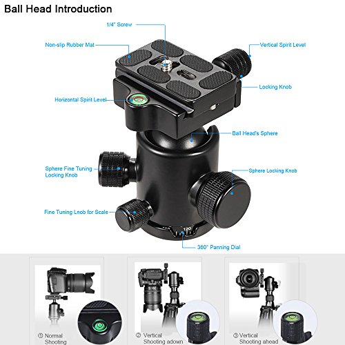 Barato Andoer Manbily CZ-302 Profesional Fibra de Carbono Trípode Kit 5
Secciones Cámara y DV Soporte en Trípode Incluye KF-0 Rótula Carga
Máxima 15kg Revisión
