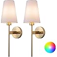 Aiehnid Wall Lights Battery Powered Sconces Set of 2,No Wiring Required Fabric Wall Lamps,with Remote Dimmable Light Bulb Easy to Install,for Bedside, TV Wall,Lounge,Farmhouse(Color : Gold)