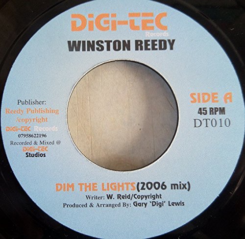 Preisvergleich Produktbild Dim The Lights (2006 Mix)