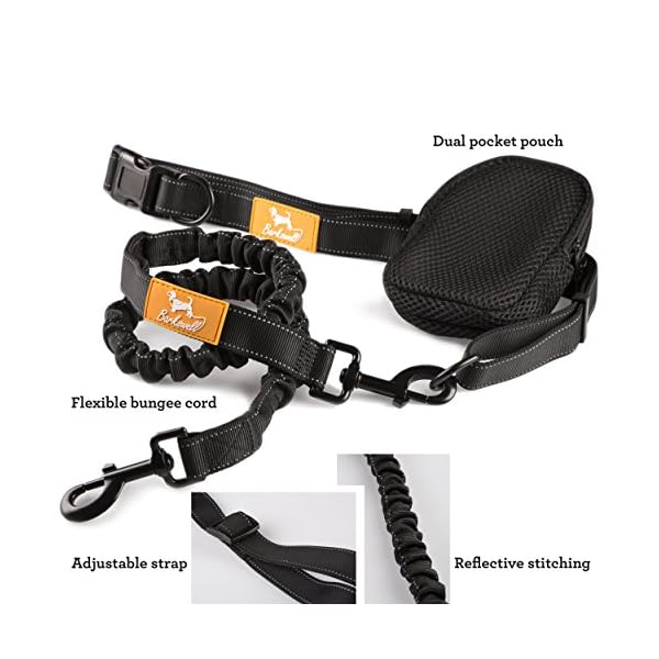 Hands Free Dog Lead for Running / Premium Quality Dog Walking Belt by