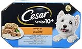 Comida para perro 100% completa, sana y deliciosa para horas de comer 100% divertidas