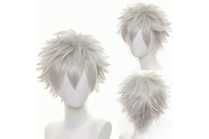 YEESHEDO Parrucca corta a caschetto unisex per cosplay, con strato naturale, capelli lisci e soffici, per feste in maschera, per donne, uomini, ragazzi e ragazze (grigio argento)