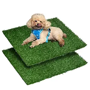 Petaby Dog Grass Pee Pad, 2 Pack 20?x25? Indoor Outdoor Reusable Training Rug for Small/Medium Pet, Strong Permeability Potty Tray Replacement Turfs, Wee Mat for Puppy