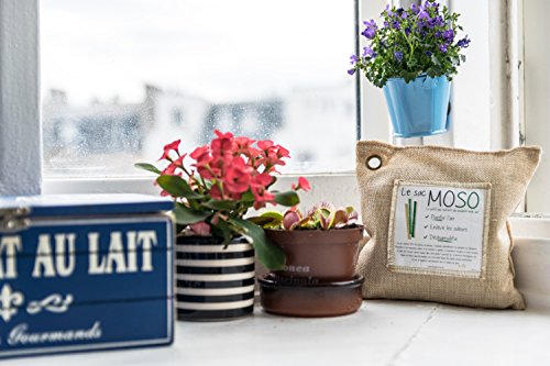 Le Sac MOSO (Die Moso Tasche) Version 200GR – Natürliche Luftreiniger , Deodorant, Feuchtigkeitsabsorber , geruchlos – gefertigt aus 100% Bambuskohle – 200 Gr Grau - 2