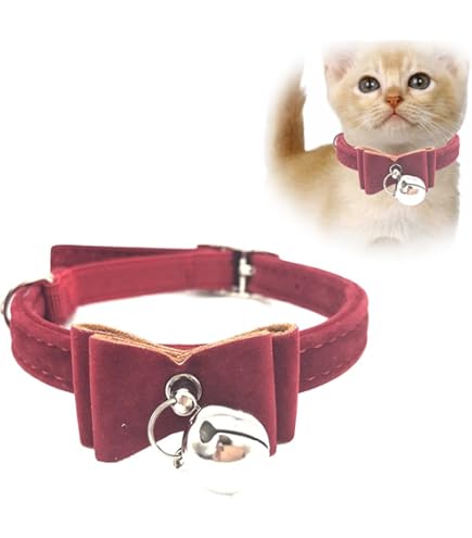 Collari Regolabili Frutta Collari Per Gatti Con Campana E Papillon - 4 Pezzi Regolabili, Design Frutta, Fibbia Sicura Collarino Gatto - Foto 9