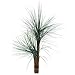 Produktbild Euro Palms 82511334 Graspalme mit Palmfaserstämmen, 110 cm
