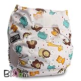 LittleBloom, Reusable Pocket Cloth Nappy, Fastener: Hook-Loop, Set of 1, Pattern 41, Without Insert, (see "Special Offers and Product Promotions" for Special Offers Detail)