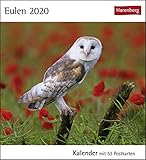 Eulen 2020 16x17,5cm