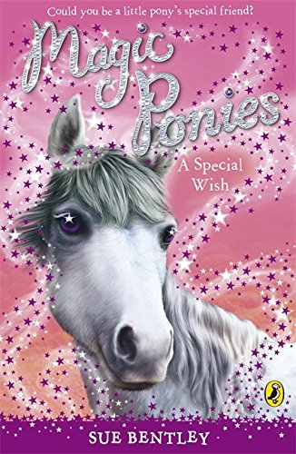 Preisvergleich Produktbild Magic Ponies: A Special Wish
