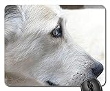 Mauspads - Hundeweißes Gesicht mustert Porträt-Profil-Pelz