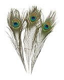 50 PCS pavo real plumas de la cola de artes manuales