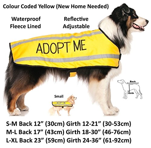 ADOPT-ME-I-Need-A-New-Home-Yellow-Colour-Coded-S-M-L-Reflective-Waterproof-Fleece-Lined-Warm-Dog-Coats-PREVENTS-Accidents-By-Warning-Others-Of-Your-Dog-In-Advance