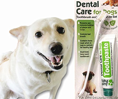 Dental-Care-For-Dogs-Toothpaste-100g-and-Toothbrush-Dental-Kit-No-Rinsing