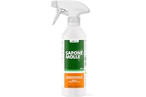 CLOSTER Savon potassique pour Plantes - Anti acariens Anti cochenille Anti pucerons et araigneé Rouge - Protection du Jardin Contre Les Insectes et Les Parasites (500 ML Spray Prêt à l'emploi)