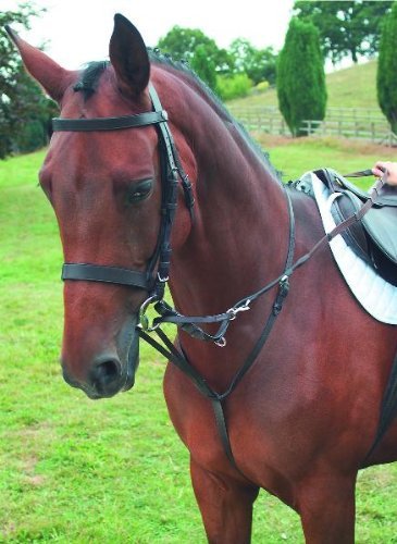 Preisvergleich Produktbild Shires German Martingale by Shires