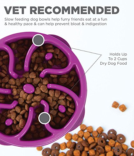 Outward Hound Kyjen 51005 Fun Feeder Slow Feed Interactive Bloat