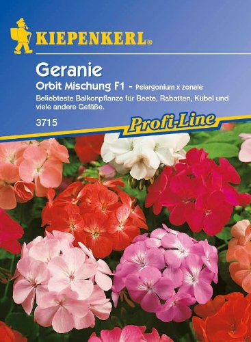 Stehende Geranien Orbit Mischung F1