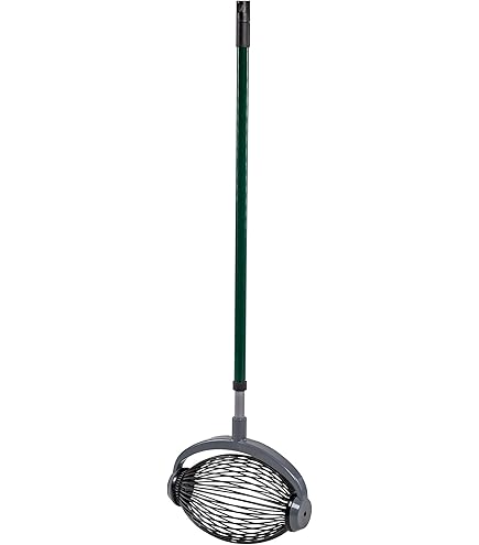 Outil De Ramassage Rapide De Fruits Et De Noix En Acier