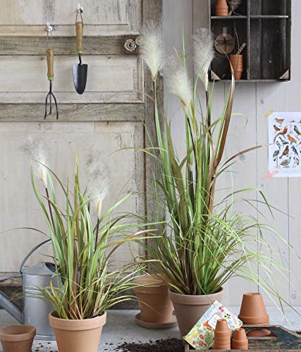 Mica decorations 930590 Federgras Foxtail Weiss in Topf – h81xd45cm Kunstpflanze, PVC, Weiß, 45 x 45 x 81 cm - 4