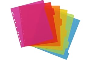 VIQUEL - Juego de 6 separadores polypro A4 maxi. Colores neón multicolores