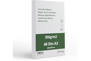 ANHELUS PAPER & DECO 40 Cartoncino Bianco A3-300gr/m2 - Confezione di 40 cartoncino bianco per stampa 420x297mm - Carta satinata per stampare, tagliare, dipingere e disegnare