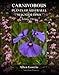 Produktbild Carnivorous Plants of Australia Magnum Opus, Volume 3