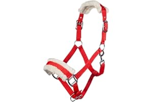 HKM Bischofshofen Kantar Czerwony Rasowy