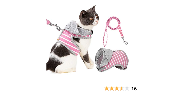 Chiens S Pink Blevet Harnais Pour Chien Chat Doux Respirant Confortable Laisse Pour Petit Chien Chiot Pour Marcher Mz123 Animalerie Lemoncitylive Com