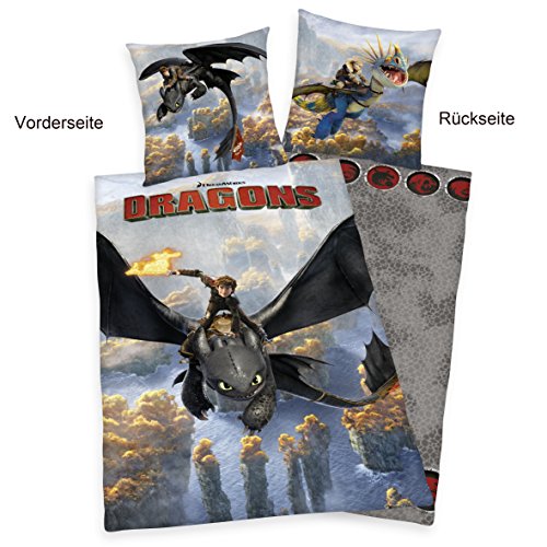 Herding 442656050412 Bettwäsche Dragons, Kopfkissenbezug 80 x 80 cm und Bettbezug 135 x 200 cm, 100 % Baumwolle, Renforce - 2