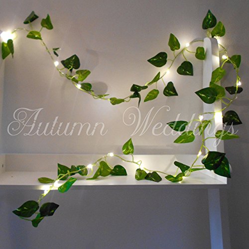 Ivy Fairy Lights / String Lights - 2m 20 LED - Wedding Decorations - AA Battery Powered - Warm White - Indoor Leaves - Leaf Garland with Lights - Fairy Lights Bedroom - Leaf Fairy Lights - Fairy Lights Leaf - Prime Delivery