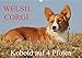 Welsh Corgi - Kobold auf 4 Pfoten (Wandkalender 2020 DIN A3 quer) by 