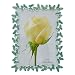 Gift Garden Photo Frames - Beautiful Green Butterfly Edging Metal Frames 5x7 inch - Table Top or Wedding Decor Picture Frame