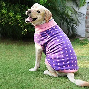 Heads Up For Tails Polka Dog Sweater - Dotted Purple - M