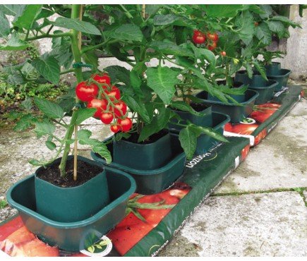 Töpfe für Pflanzenbeutel, 6er-Set - 3