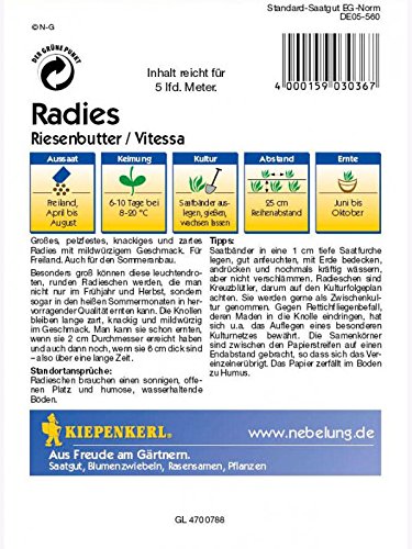 Radies Riesenbutter Vitessa Saatband 5mtr - 2