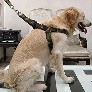 PoochBox Military Print Padding Harness Set for Maxi and Large Breed (1.5 Inch)