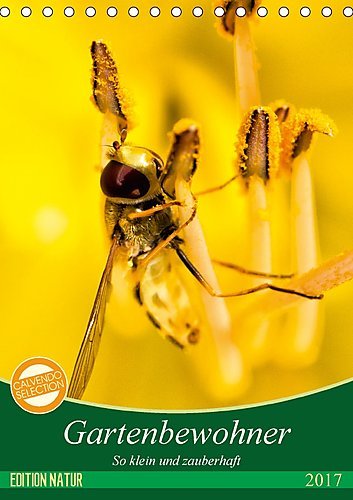 Gartenbewohner - so klein und zauberhaft (Tischkalender 2017 DIN A5 hoch): Fotografien von den kleineren Gartenwohnern - den Insekten (Monatskalender, 14 Seiten ) (CALVENDO Tiere)