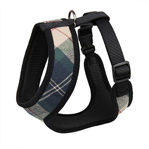Cutest Harnesses for Cavalier King Charles Spaniels