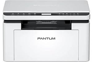 Impresora Multifunción Pantum BM2300W