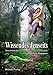 Wissendes Jenseits: Jenseitskontakte: Fragen - Antworten - Fallbeispiele by 