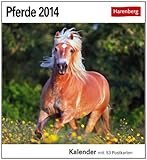 Pferde 2014: Sehnsuchts-Kalender. 53 heraustrennbare Farbpostkarten by