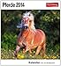 Pferde 2014: Sehnsuchts-Kalender. 53 heraustrennbare Farbpostkarten by