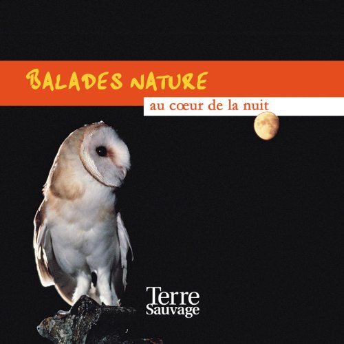 couverture de : Balades nature au coeur de la nuit