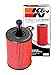 Produktbild ps-7031 K & N Öl Filter; Automotive – Pro-Serie (Automotive Öl Filter)