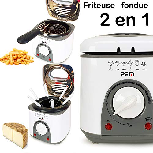 Friteuse et Fondue 2 en 1-950W - 1L + 6 pics à fondue