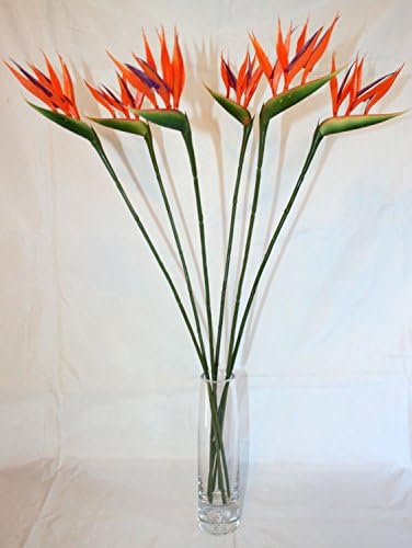 6 x Small Bird of Paradise / Strelitzia Artificial Stems