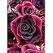 Produktbild 5D Diamant Malerei Kit,DIY 5D Diamant Painting Rose, FULL Bohrer Blooming Roses DIY Strass Stickerei Kreuzstich Arts Craft für Home Wand-Decor 30 x 40 cm